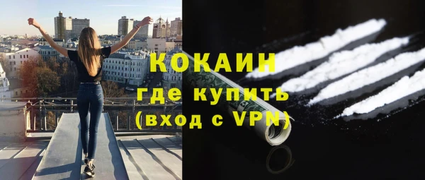 сатива Володарск
