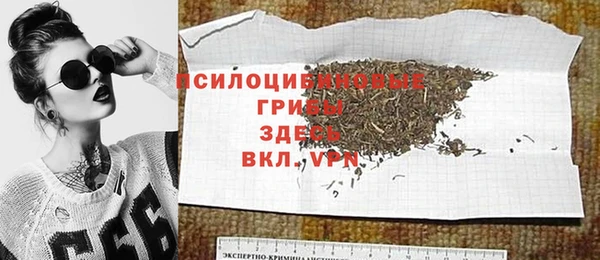 сатива Володарск