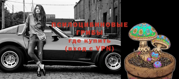 прущая мука Верея