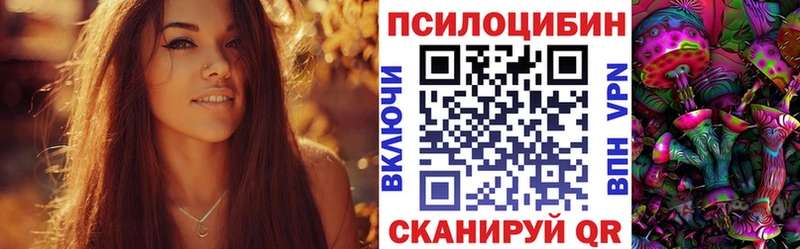 Псилоцибиновые грибы мицелий  закладки  Волжск 